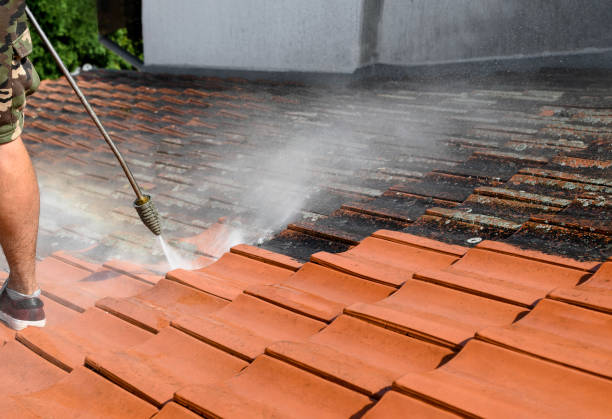 Best Roof Pressure Washing  in Belfair, WA