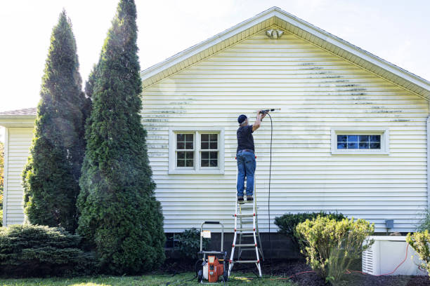 Best House Pressure Washing  in Belfair, WA